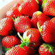 Image for article titled 10 Fad Diets, Debunked
